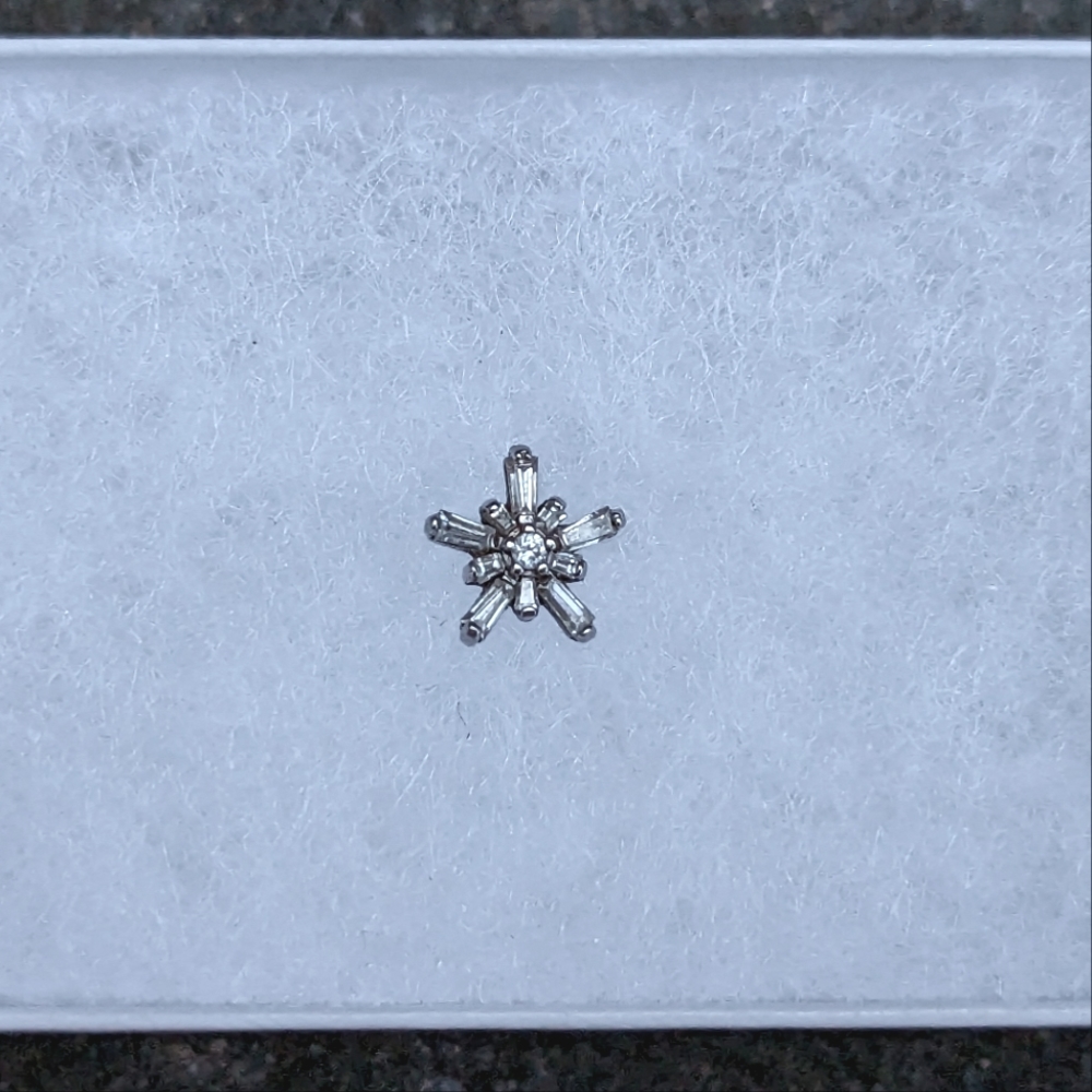 BVLA Mininova Labret